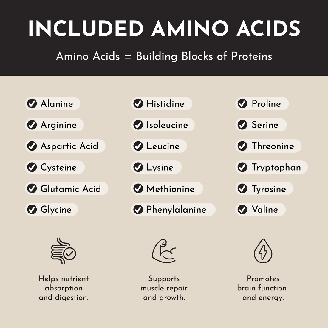 KENUST® Vanilla Bean Protein Powder™