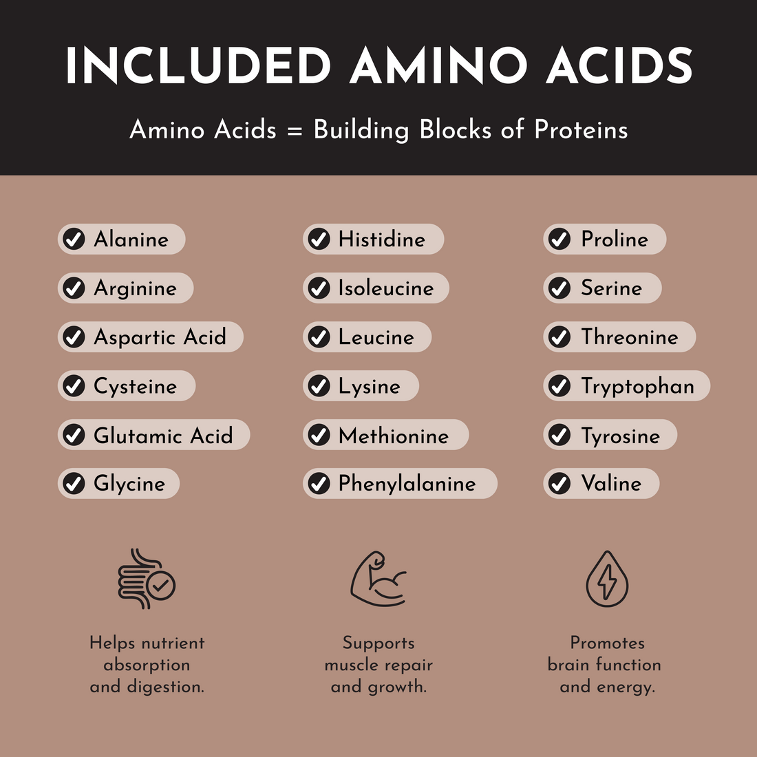 KENUST® Chocolate Protein Powder™